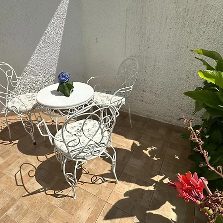 Hotel Slovenska Plaza Standard 3*